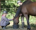Westerntraining Volker Walther - Reiterferien in Radebeul