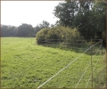 Westerntraining Volker Walther